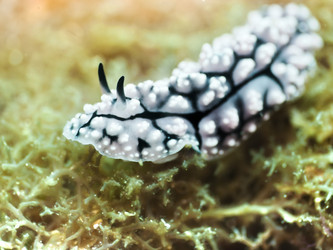 Similar image 726560