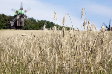 Similar image 726856