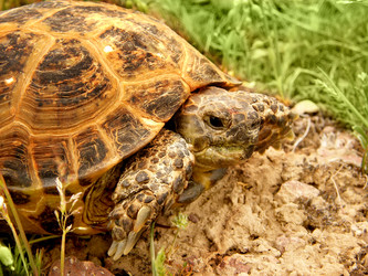 Similar image 726861