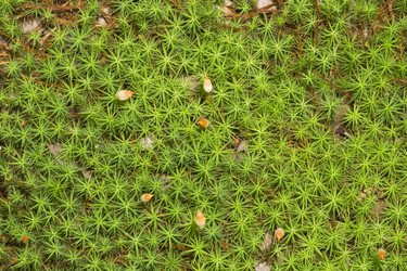 Similar image 726870