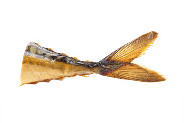 Similar image 726915