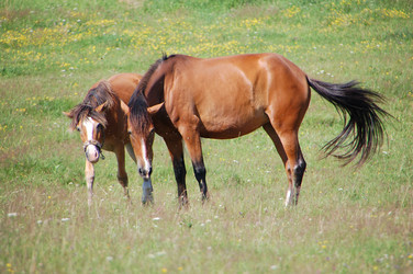 Similar image 726940