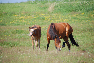 Similar image 726943