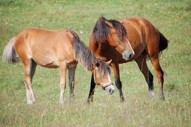 Similar image 726944