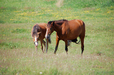 Similar image 726945