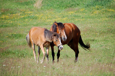 Similar image 726948