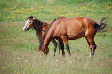 Similar image 726950