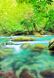 Similar image 726957