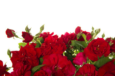 Similar image 726963