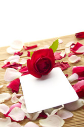 Similar image 726969