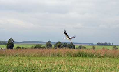 Similar image 727019