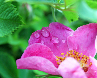 Similar image 727055