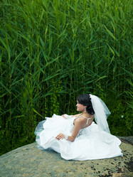 Similar image 727215