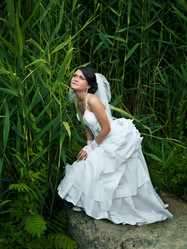 Similar image 727216