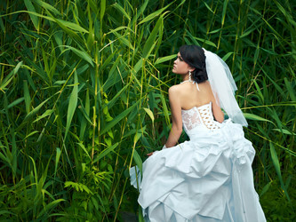 Similar image 727217