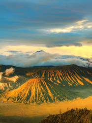 Similar image 727225