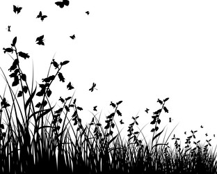 Similar image 727374