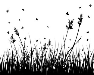 Similar image 727375