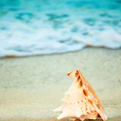 Similar image 727423