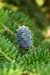 Similar image 727474