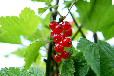 Similar image 727481