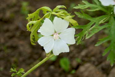 Similar image 727484