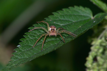 Similar image 727499