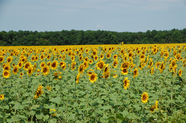 Similar image 727500