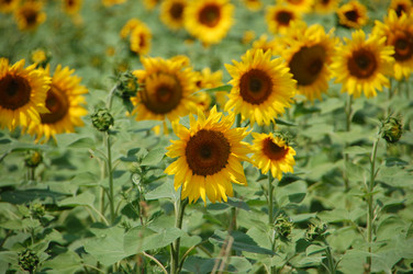 Similar image 727503