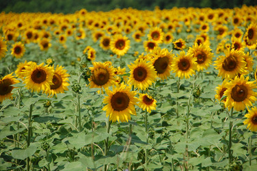 Similar image 727504