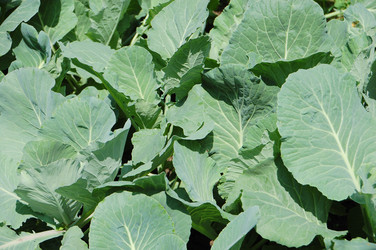 Similar image 727506