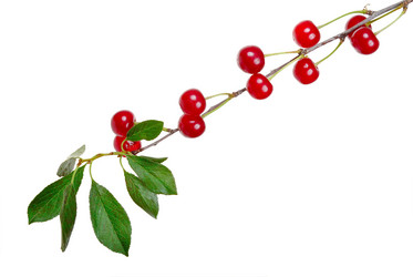 Similar image 727529