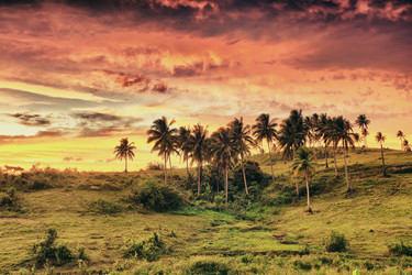 Similar image 727532