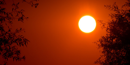 Similar image 727533