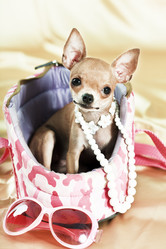 Similar image 727536