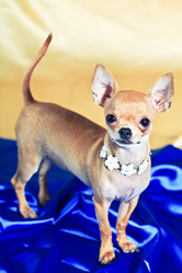 Similar image 727537