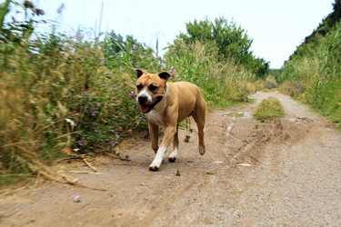 Similar image 727564