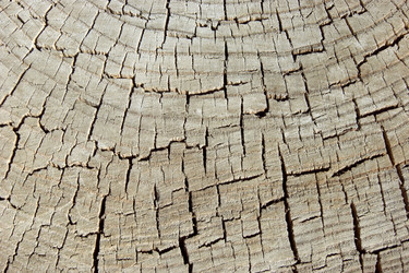 Similar image 727619