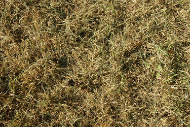 Similar image 727620