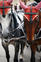 Similar image 727686