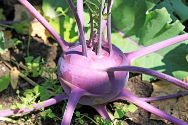 Similar image 727695