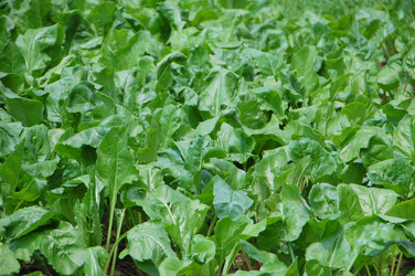 Similar image 727708