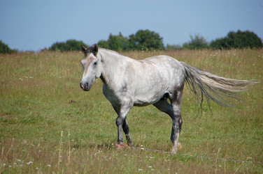 Similar image 727714