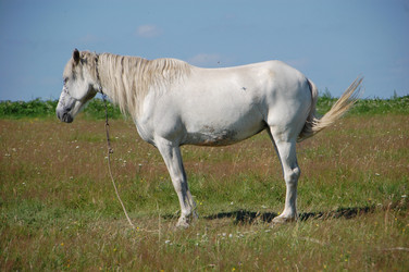 Similar image 727715