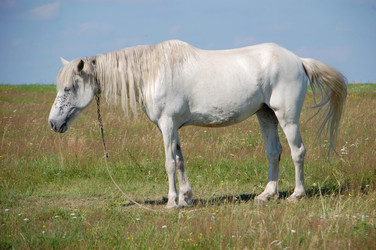 Similar image 727716