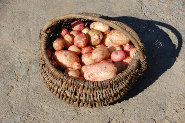 Similar image 727724