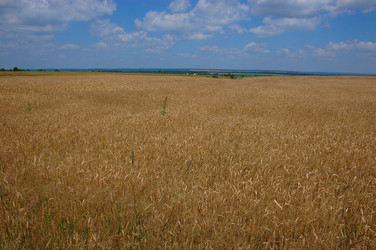 Similar image 727726