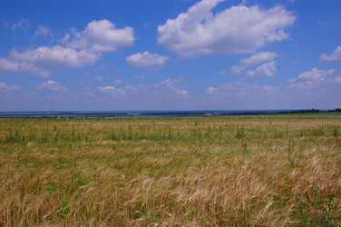 Similar image 727727