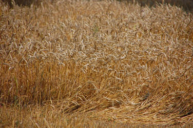 Similar image 727729