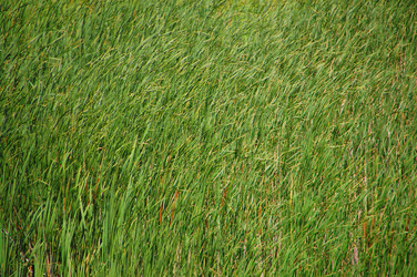 Similar image 727735